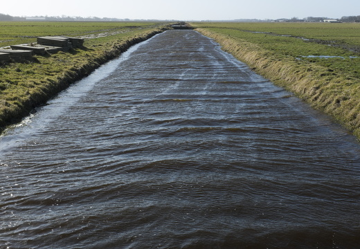 150228-Nederland-113