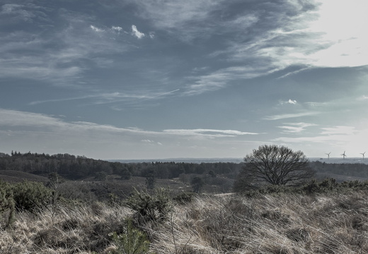 150228-Nederland-115