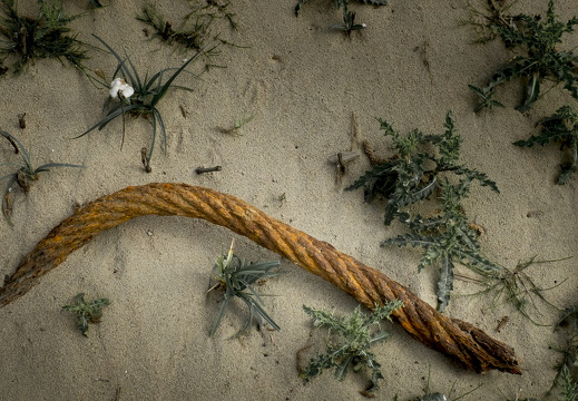 150523-Pinksteren-119