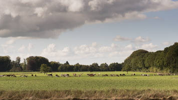 150927-Corversbos-104