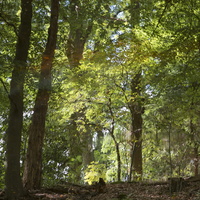 150927-Corversbos-105