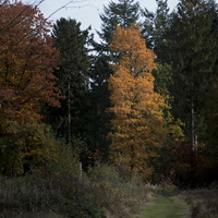 151025-Bos-107