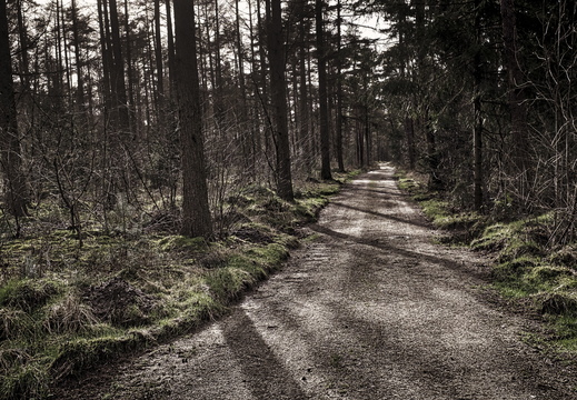 160207-LageVuursche-106