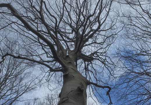 160207-LageVuursche-107