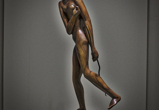 160417-FundatieZwolle-102