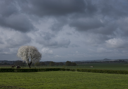 160424-Maastricht-100