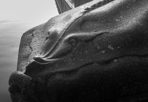 160123-Amsterdam-118