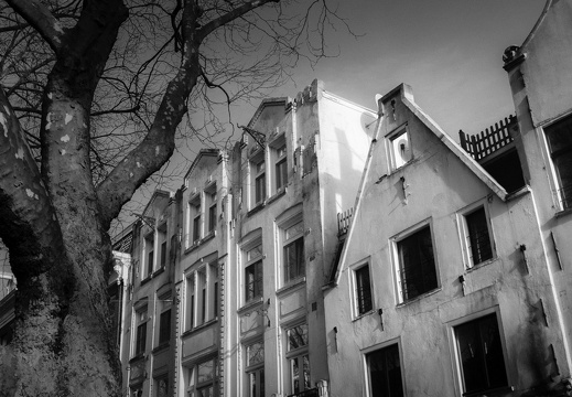 160123-Amsterdam-153