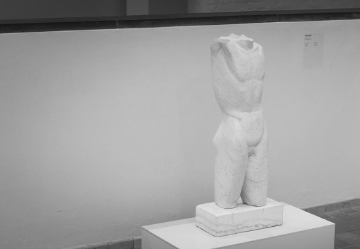 160131-KrullerMuller-107