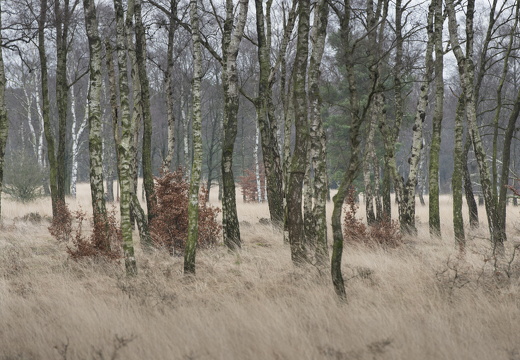 160131-KrullerMuller-124