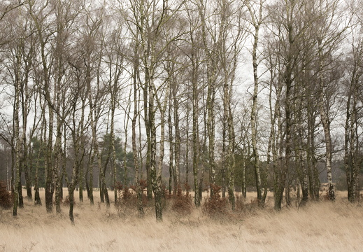 160131-KrullerMuller-125