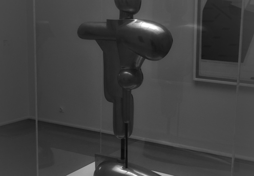 160131-KrullerMuller-131