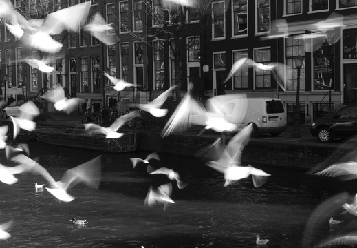 160227-Amsterdam-118