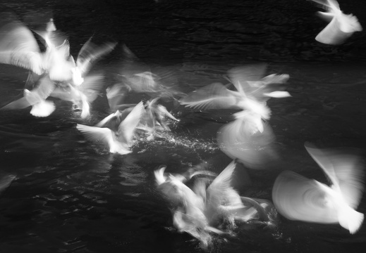 160227-Amsterdam-119