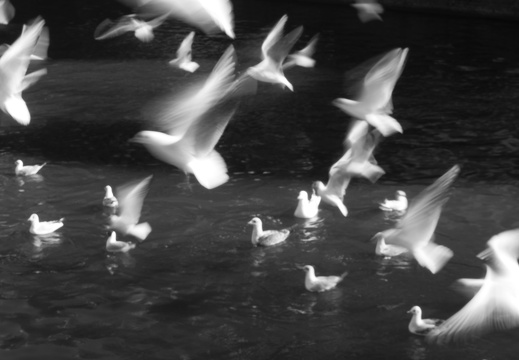 160227-Amsterdam-120