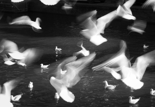 160227-Amsterdam-121