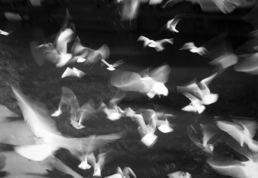 160227-Amsterdam-122