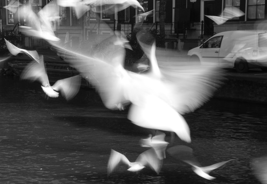 160227-Amsterdam-123