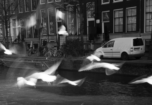 160227-Amsterdam-124