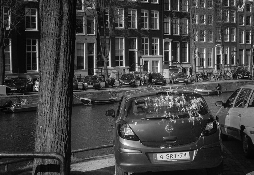 160227-Amsterdam-132