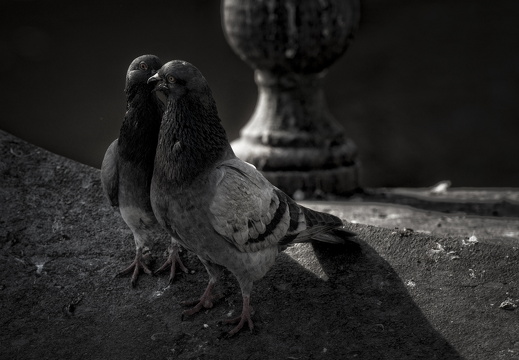 160227-Amsterdam-216