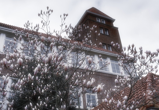 160402-Amsterdam-112