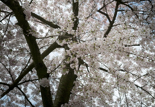 160402-Amsterdam-124