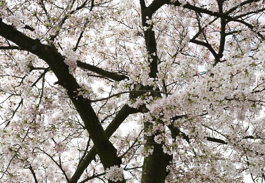 160402-Amsterdam-125