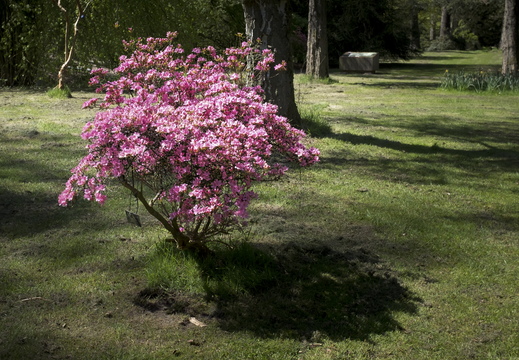 160505-Arboretum-136