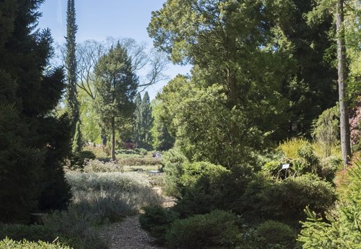 160505-Arboretum-146