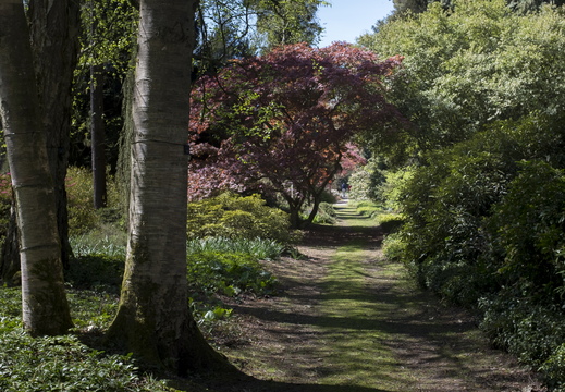 160505-Arboretum-149