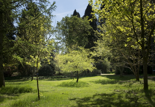 160505-Arboretum-161