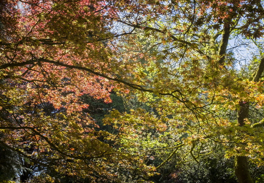 160505-Arboretum-165