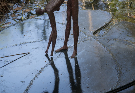 160505-Arboretum-170