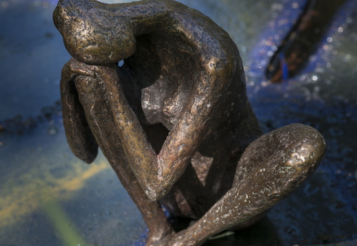 160505-Arboretum-176