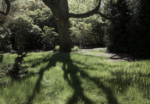 160505-Arboretum-181