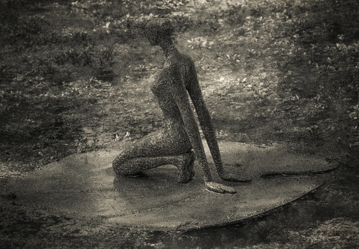 160505-Arboretum-189