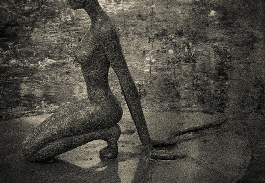 160505-Arboretum-194