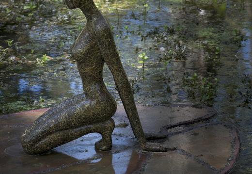 160505-Arboretum-195