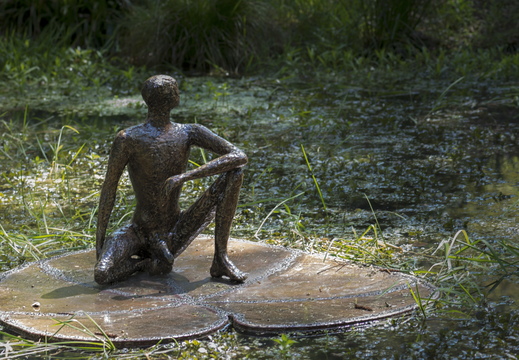 160505-Arboretum-198