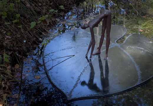 160505-Arboretum-201