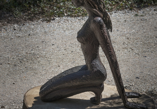 160505-Arboretum-203