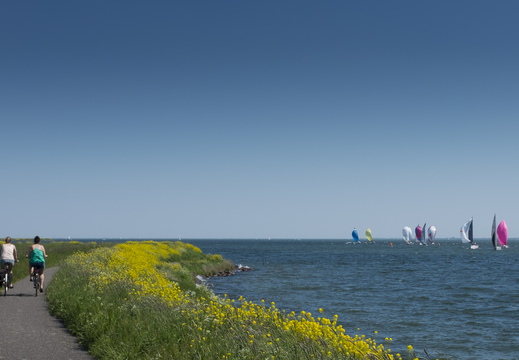 160508-NoordHolland-101