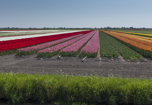 160508-NoordHolland-112