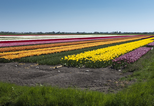 160508-NoordHolland-113