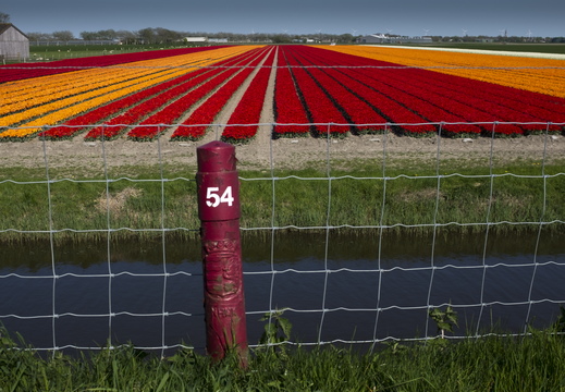 160508-NoordHolland-124