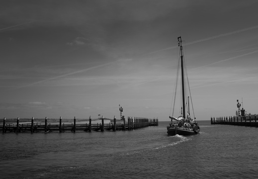 160609-Texel4-114