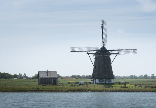 160609-Texel4-137