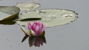 160616-200-500-Test-105