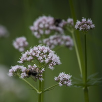 160616-200-500-Test-113